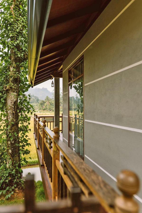 Rainforest Nest Deniyaya Exterior foto