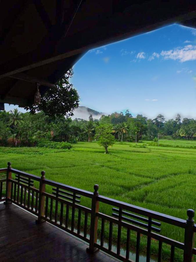 Rainforest Nest Deniyaya Exterior foto